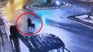 Kayseri'de eşekli kuyumcu soygunu davasında yeni gelişme