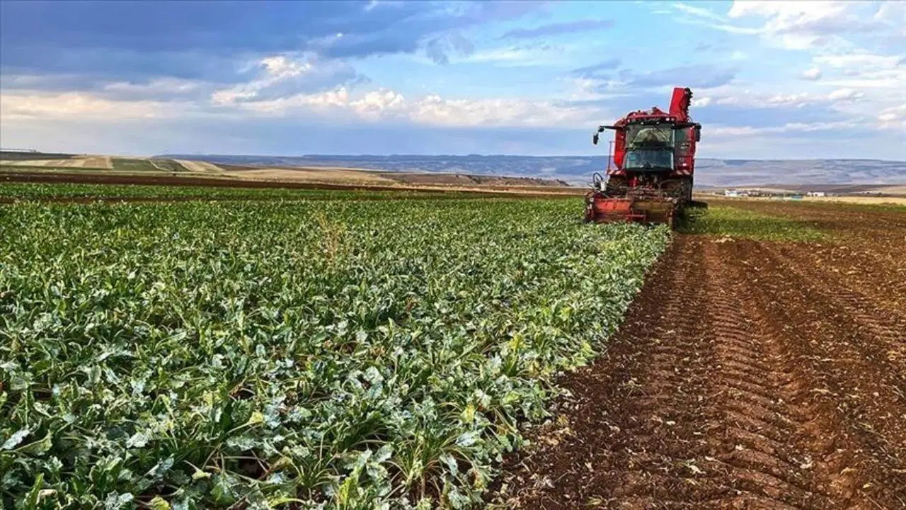 Tokat’ta sel ve dolu çiftçiyi vurdu: ‘Tüm olanaklarımızla çiftçimizin yanındayız’