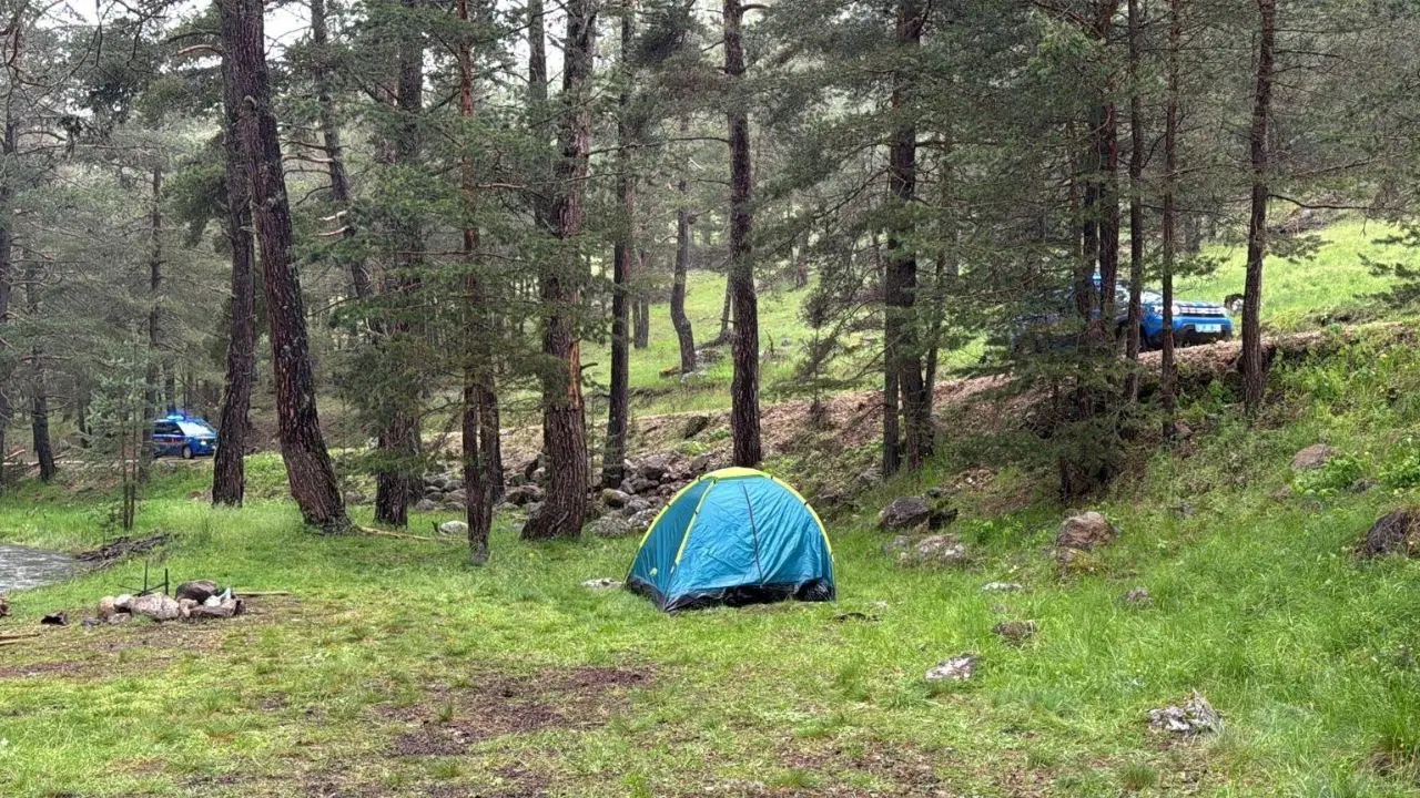 Bolu’da piknikçilerin sığındığı ağaca yıldırım düştü: 1’i ağır 3 yaralı