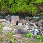 Uçurum kenarında erkek cesedi bulundu: Ensesinden vurulmuş