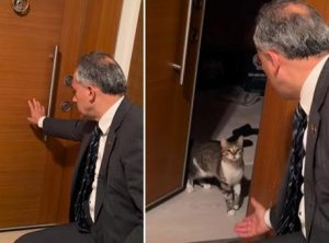 Belediye başkanı anahtarını unuttu! Kapıyı kedisi 'Fred' açtı
