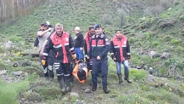 Sivas'ta mantar toplarken ayı saldırısında yaralandı