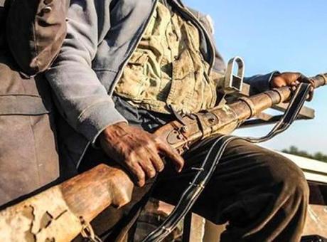 Nijerya'da bu ay 317 terörist ve silahlı çete üyesi etkisiz hale getirildi