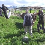 Kurban kesimi faciaya döndü! Kalp krizi geçiren 2 kişi hayatını kaybetti