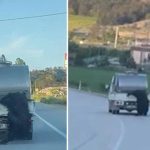 Kurbanlık hayvanı kamyonetin kasasından sarkıttı! Bolu Valiliği düğmeye bastı: Dudak uçuklatan ceza