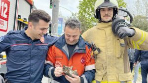 İstanbul İtfaiyesi’nden yavru kedi operasyonu
