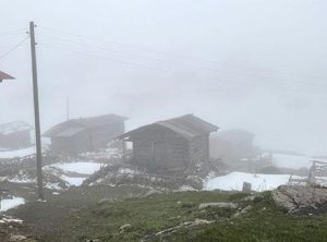 Ardahan'ın yüksek kesimlerinde kar etkili oldu