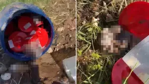 Şanlıurfa’daki 'cenin' skandalında kan donduran iddia: Ticari amaçla mı kullanıldılar?