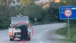 'Bu kadar da olmaz!' dedirten görüntüler: Kurbanlık canlı hayvanı araçtan sarkıtıp kilometrelerce sürükledi
