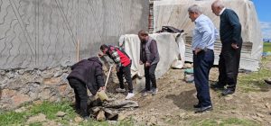 3 metrelik yılan mahalleyi korkuttu: Belediye ekipleri müdahale etti