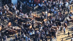 Kurban kesim alanındaki yoğunluk havadan görüntülendi