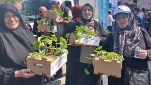 Beykoz'da 1 milyon 700 bin fide toprakla buluşuyor