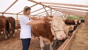 Ataşehir Belediyesi'nden vatandaşlara önemli uyarılar