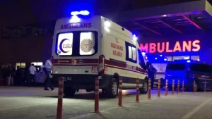 Ankara Ayaş’ta Köpek Kavgası Kanlı Bitti: Baba Tutuklandı, Oğluna Adli Kontrol