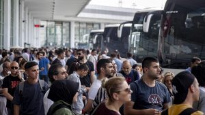 AŞTİ'de Kurban Bayramı Yoğunluğu