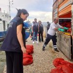 İzmir'de yasa dışı su ürünleri avcılarına ağır darbe: 7 ton kaçak midye ele geçirildi