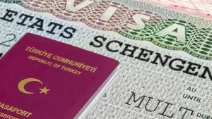 Schengen vizesinde randevu satan şirketlere soruşturma: 7 firma mercek altına alındı