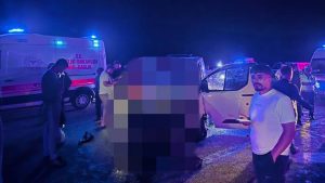 Panelvan yola çıkan ata çarptı: 1 ölü, 2 yaralı