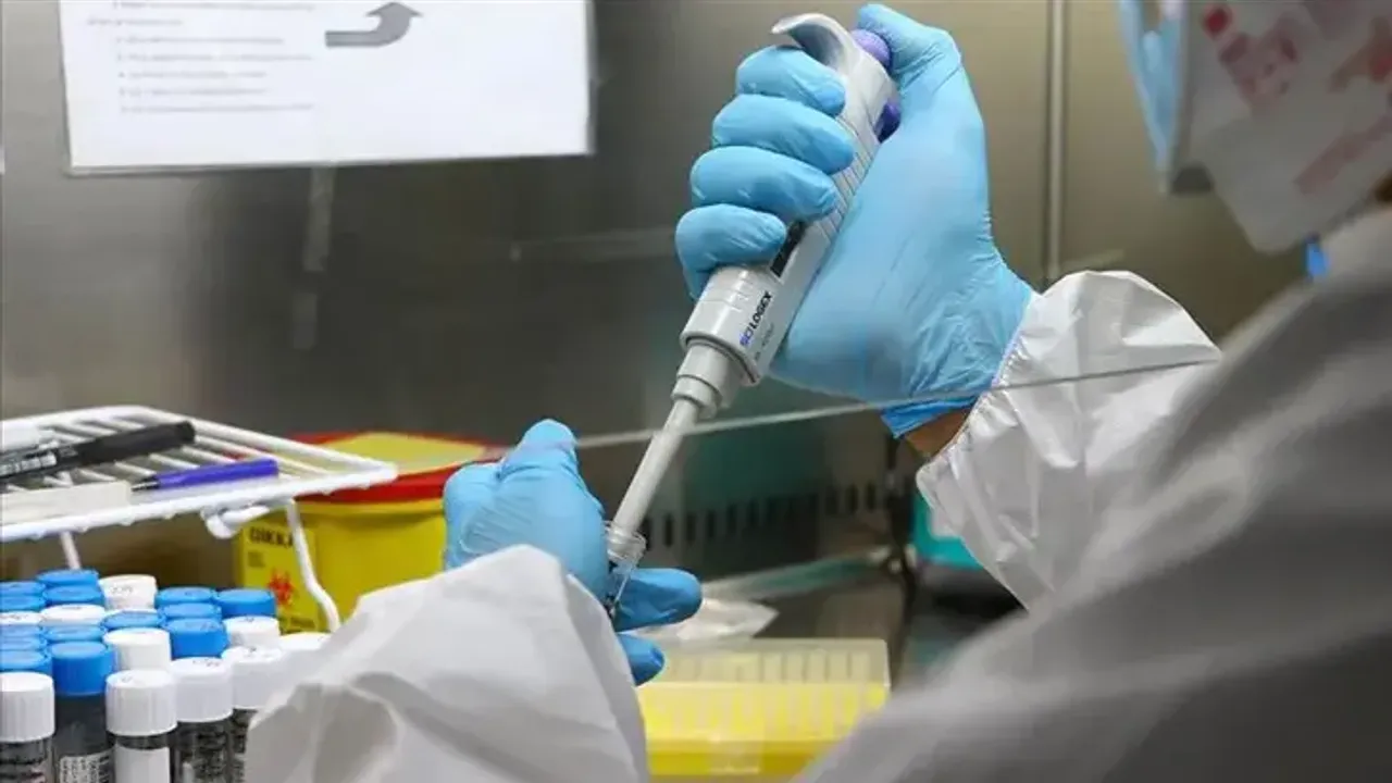 Ünlülerin test sonuçları belli oldu