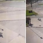 Elazığ’da ilginç anlar kameraya yansıdı! Kargadan kaçarken taklalar attı