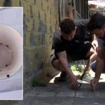 İstanbul'da kene alarmı! 'İlk defa böyle bir istila gördüm'