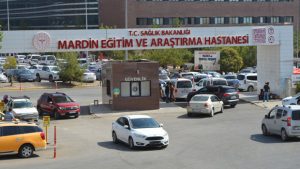 Mardin'de iki aile arasında taşlı, sopalı kavga: 8 kişi yaralandı