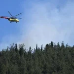 Manisa'da orman yangını! Ekipler sevk edildi