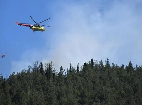 Manisa'da orman yangını! Ekipler sevk edildi