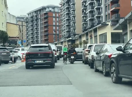 İstanbul'da dehşete düşüren görüntü! Motosiklete bağladığı köpeği metrelerce koşturdu