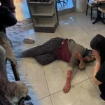 Dinlenme tesisinde can pazarı! Başıboş köpek kadının kolunu kopardı