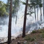 Antalya'da yıldırım düştü, ormanda yangın çıktı