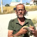 Sakarya’da yılan görünce tek bir isim akıllara geliyor! Çıplak elleriyle yakalayıp doğaya bırakıyor