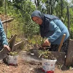Sosyal medyada gezerken hayatının fırsatını yakaladı: Özel izin aldı, köyüne döndü! Fiyatı altınla yarışıyor