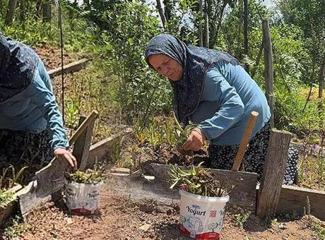Sosyal medyada gezerken hayatının fırsatını yakaladı: Özel izin aldı, köyüne döndü! Fiyatı altınla yarışıyor