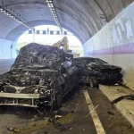 İstanbul'da tünelde sürü çıkmazı! 10 inek telef oldu, 1 kişi yaralandı