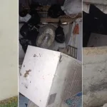 Rize Çamlıhemşin’de ayı paniği: 20 eve girdi, yayla sakinleri canından bezdi