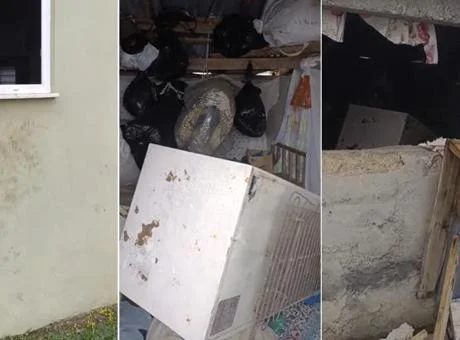 Rize Çamlıhemşin’de ayı paniği: 20 eve girdi, yayla sakinleri canından bezdi