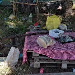 Ankara'da kan donduran olay! Eşini piknikte öldürdü