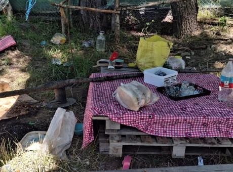 Ankara’da kan donduran olay! Eşini piknikte öldürdü