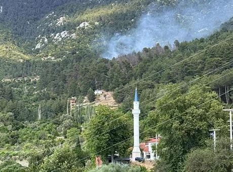 Antalya Kaş’ta orman yangını! Havadan karadan müdahale