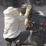Motosikleti görenler gözlerine inanamadı! Yolun ortasında arıların istilasına uğradı