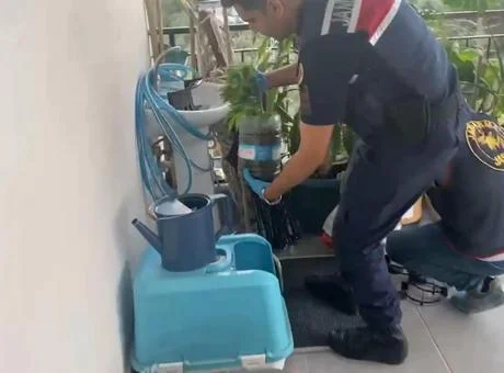 Jandarmadan zehir tacirlerine darbe! 5 ilde ‘uyuşturucu’ operasyonu: 341 gözaltı