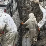 400 kovan taşıyan kamyon devrildi! 24 milyon arı etrafa dağıldı: 'Lütfen içeride kalın'