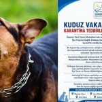 İlk vaka tespit edildi! Bir ilimizde kuduz karantinası; vatandaşlara kritik uyarılar