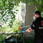 Düzce'de Asya Kaplan sivrisineği uyarısı!