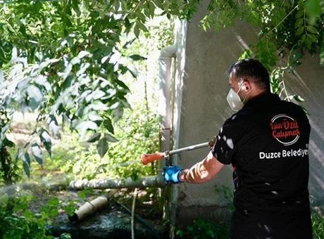 Düzce’de Asya Kaplan sivrisineği uyarısı!