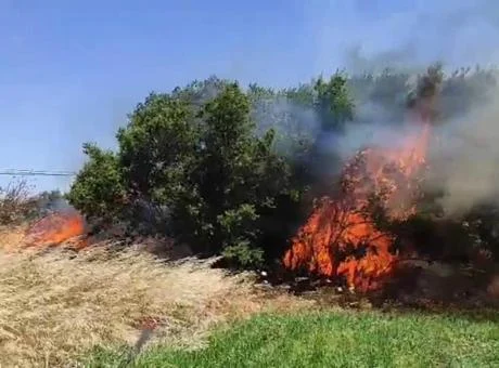 Çanakkale’de korkutan yangın! Alevler rüzgarla büyüdü