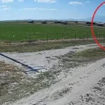 Niğde'deki havai fişek fabrikasındaki patlama güvenlik kamerasında