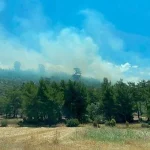 Muğla'da orman yangını! Havadan karadan müdahale