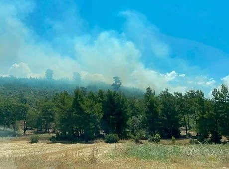 Muğla’da orman yangını! Havadan karadan müdahale